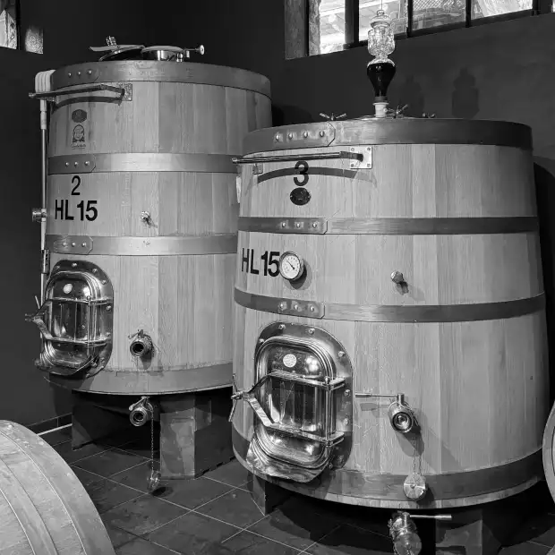 セラーに並ぶ木製発酵タンク
